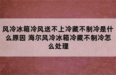 风冷冰箱冷风送不上冷藏不制冷是什么原因 海尔风冷冰箱冷藏不制冷怎么处理